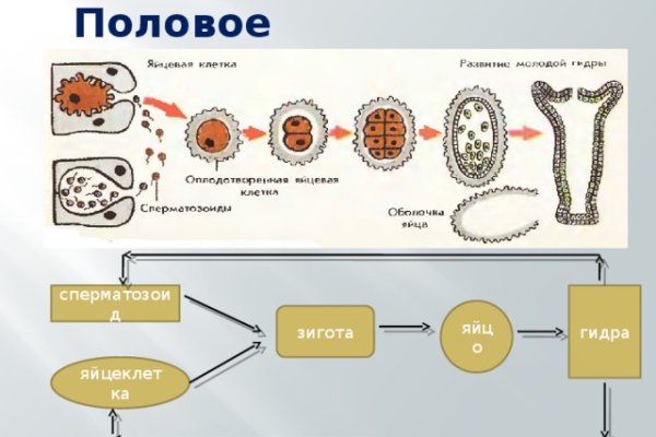 Кракен торговая площадка