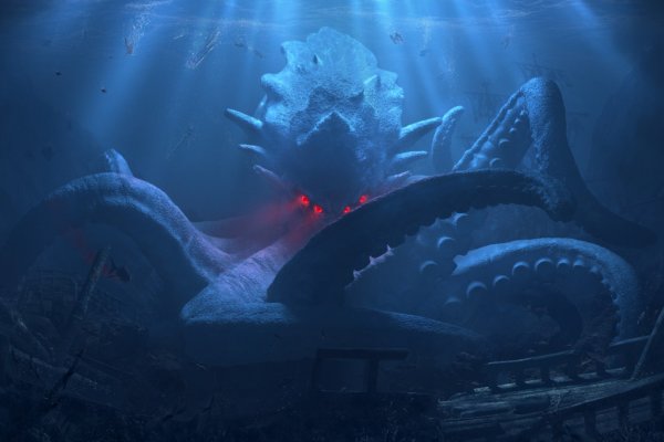 Kraken 12 att