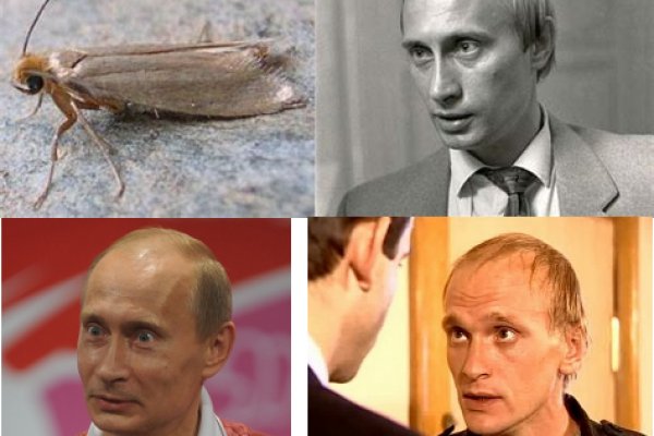 Кракен новый маркетплейс