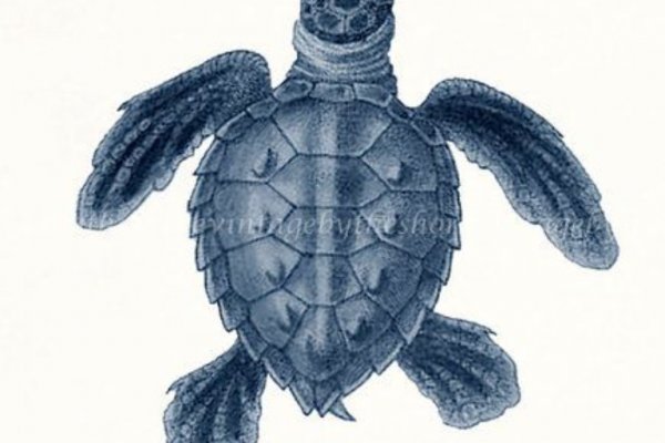 Kra37.at