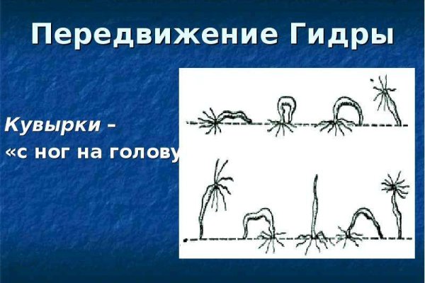 Кракен нов