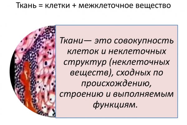 Кракен как войти