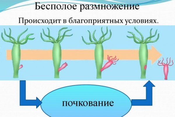 Работающий сайт кракен